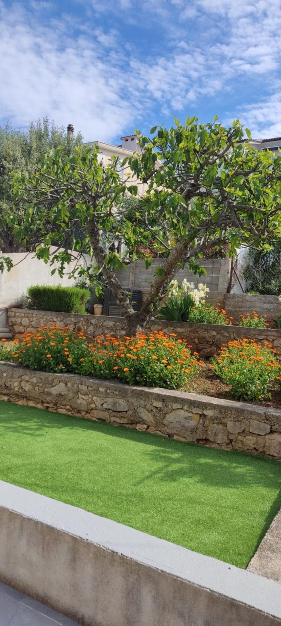 Apartmani Mataija Sveti Petar  Esterno foto